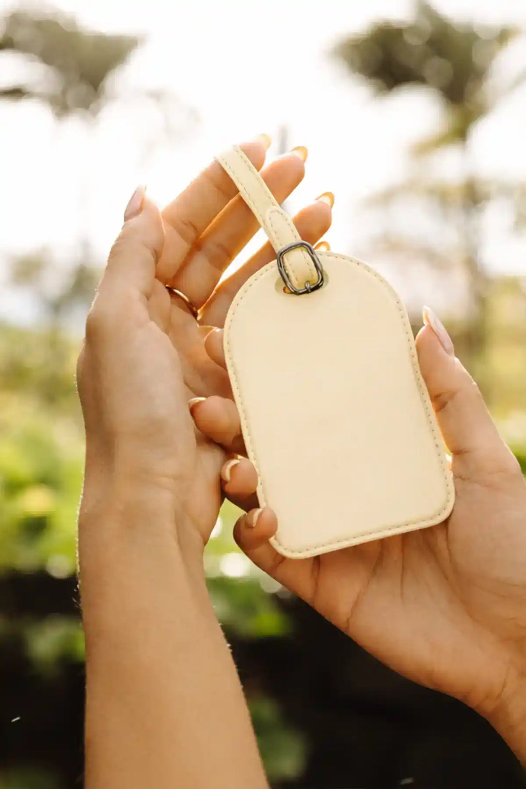 Aero Luggage Tag